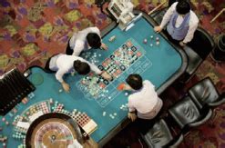 Illegal Gambling: Korea’s Next Big Addiction < Social Affairs .